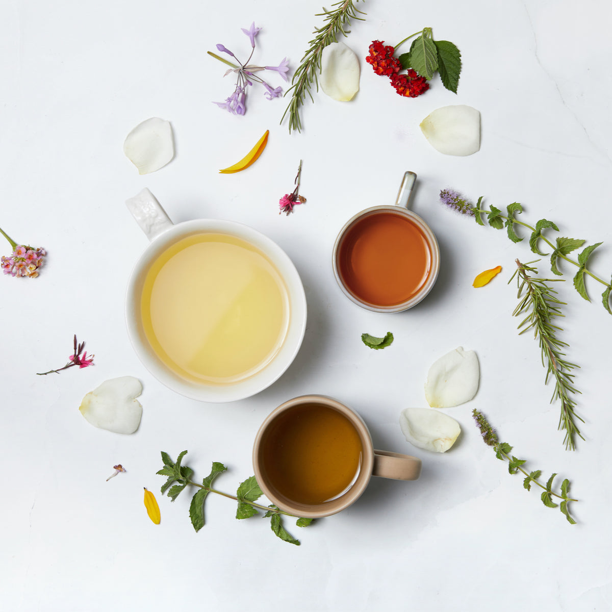 How To Brew Tea Perfectly Every Time - Life is Better with Tea